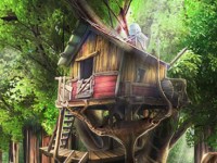 Hidden Treehouse