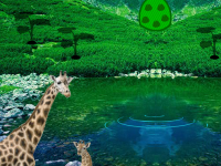 Giraffe Lake Forest Escape