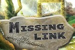 Missing Link