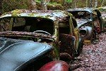 Escape From Abandoned Cars In Belgium